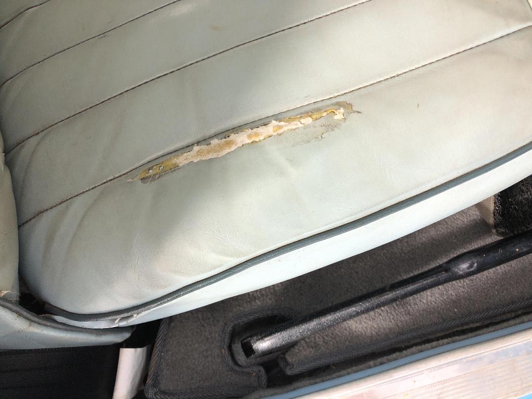 Photo '23' of Singer Gazelle