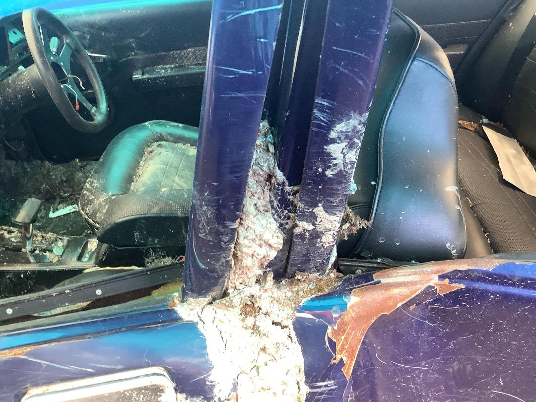 Photo '8' of Holden Statesman