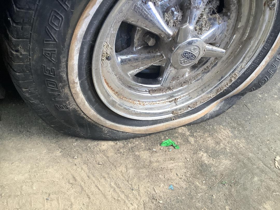 Photo '10' of Holden Statesman