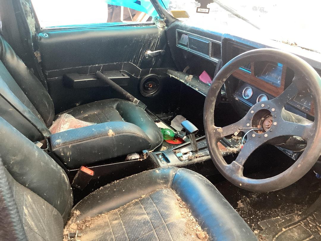 Photo '18' of Holden Statesman