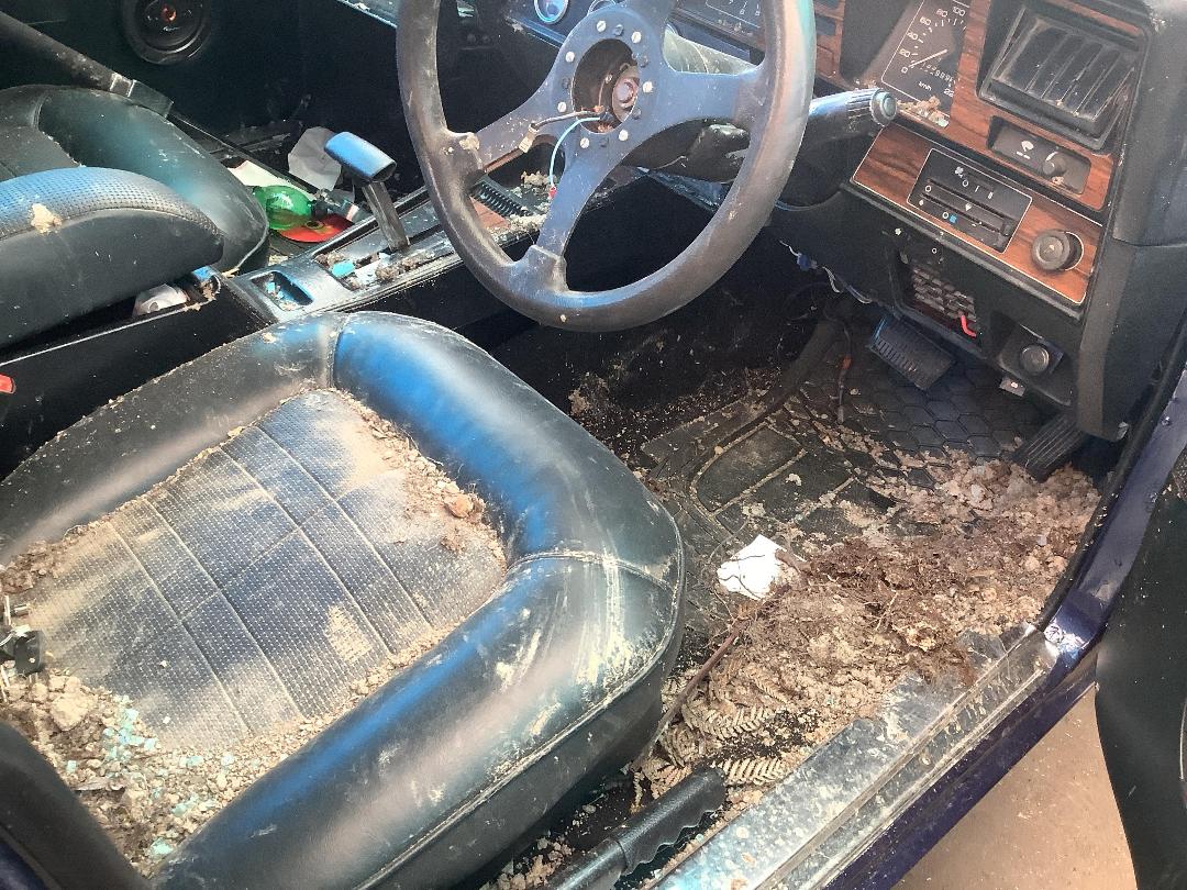 Photo '17' of Holden Statesman