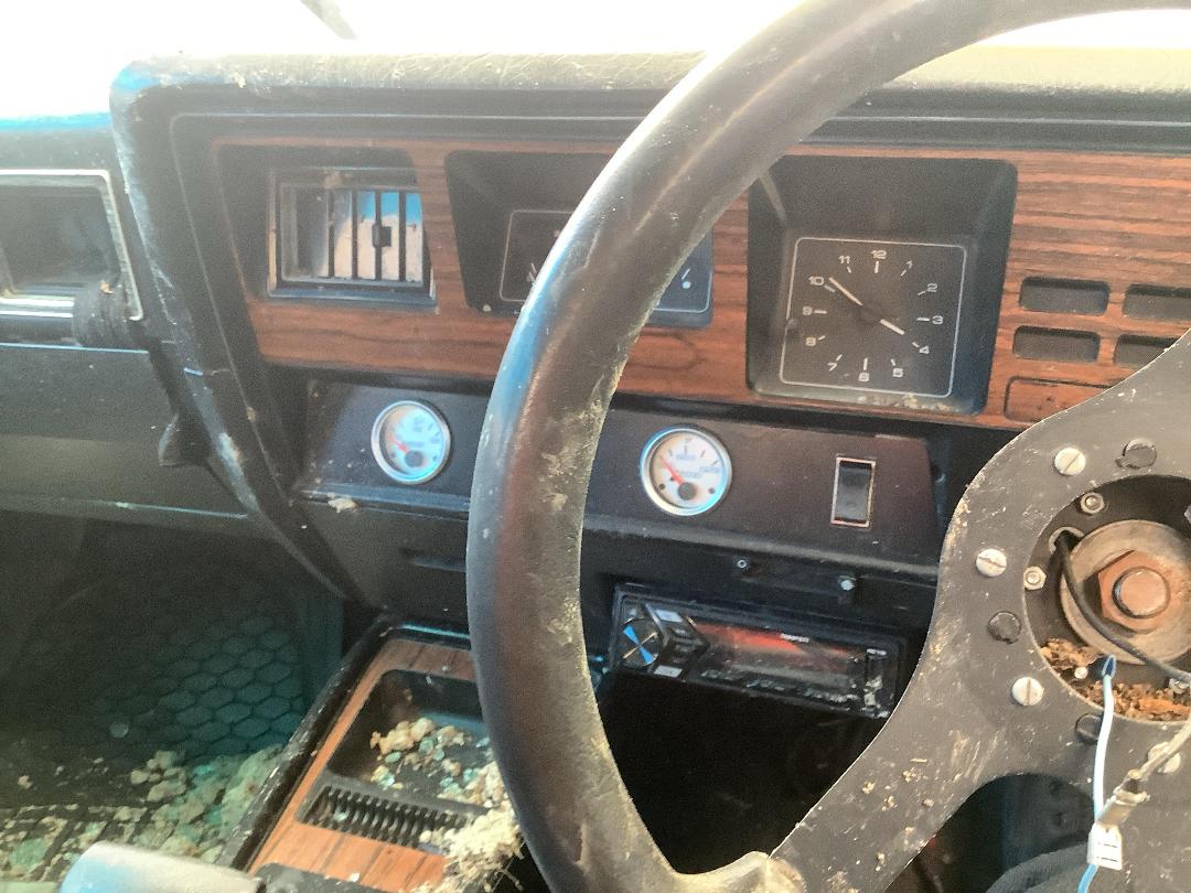 Photo '21' of Holden Statesman