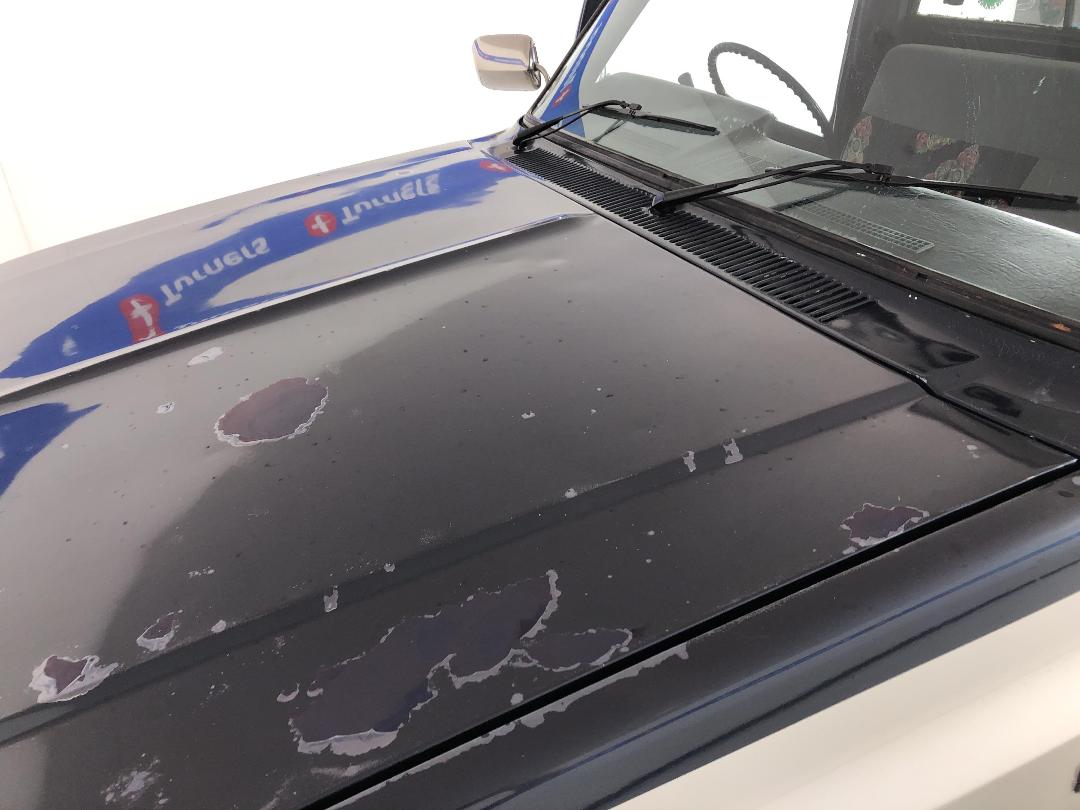 Photo '21' of Chevrolet C10 Photo '21' of Chevrolet C10