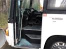 Thumbnail '11' of Isuzu Journey Bus Thumbnail '11' of Isuzu Journey Bus