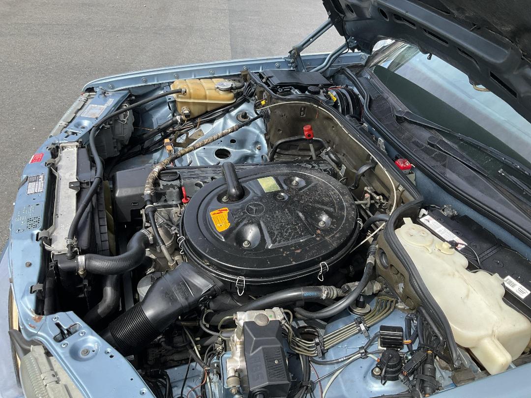 Photo '17' of Mercedes-Benz 300 SE