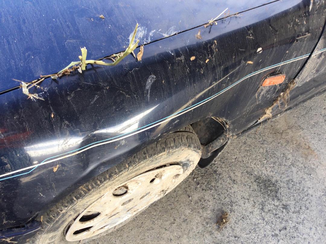 Photo '13' of Honda Ascot Innova Photo '13' of Honda Ascot Innova