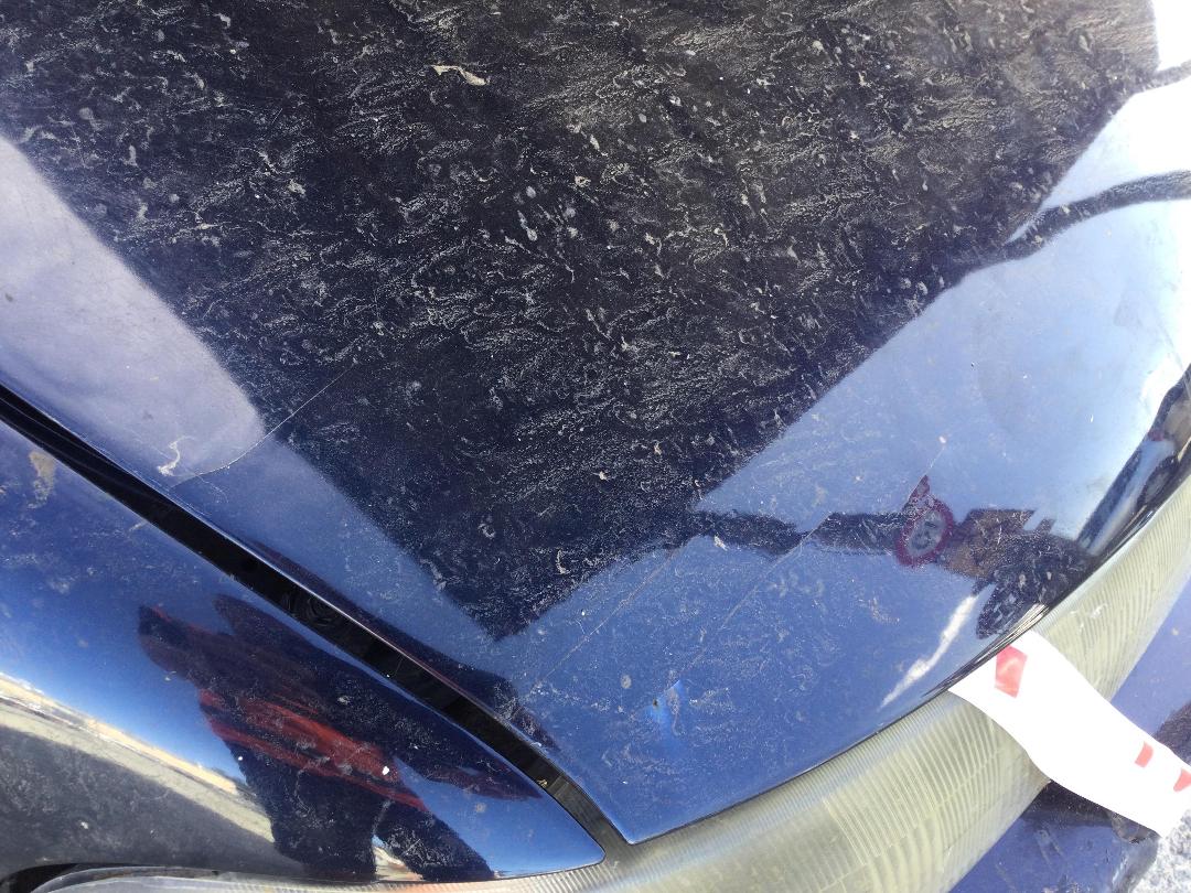 Photo '11' of Honda Ascot Innova Photo '11' of Honda Ascot Innova