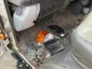 Thumbnail '18' of Nissan Atlas H41 Tipper Thumbnail '18' of Nissan Atlas H41 Tipper