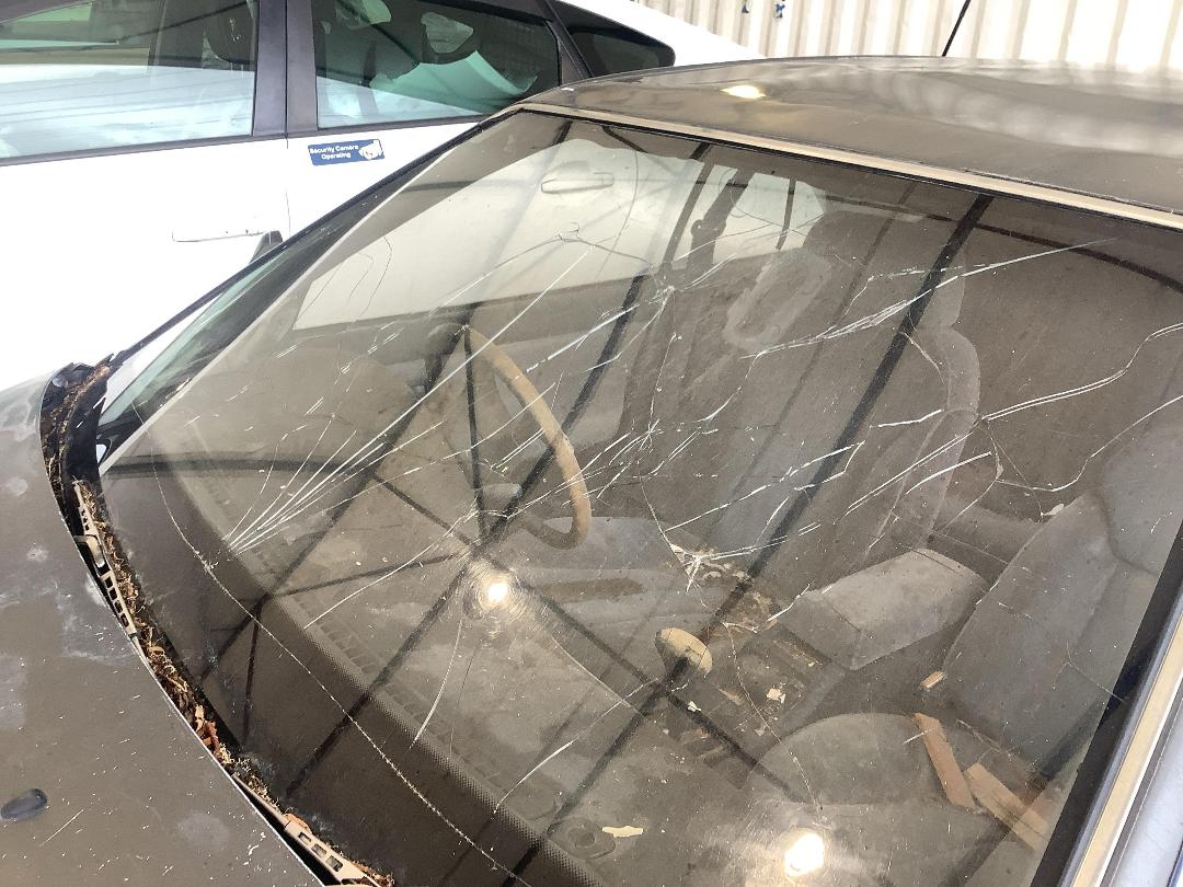 Photo '3' of Nissan Laurel Medalist Photo '3' of Nissan Laurel Medalist