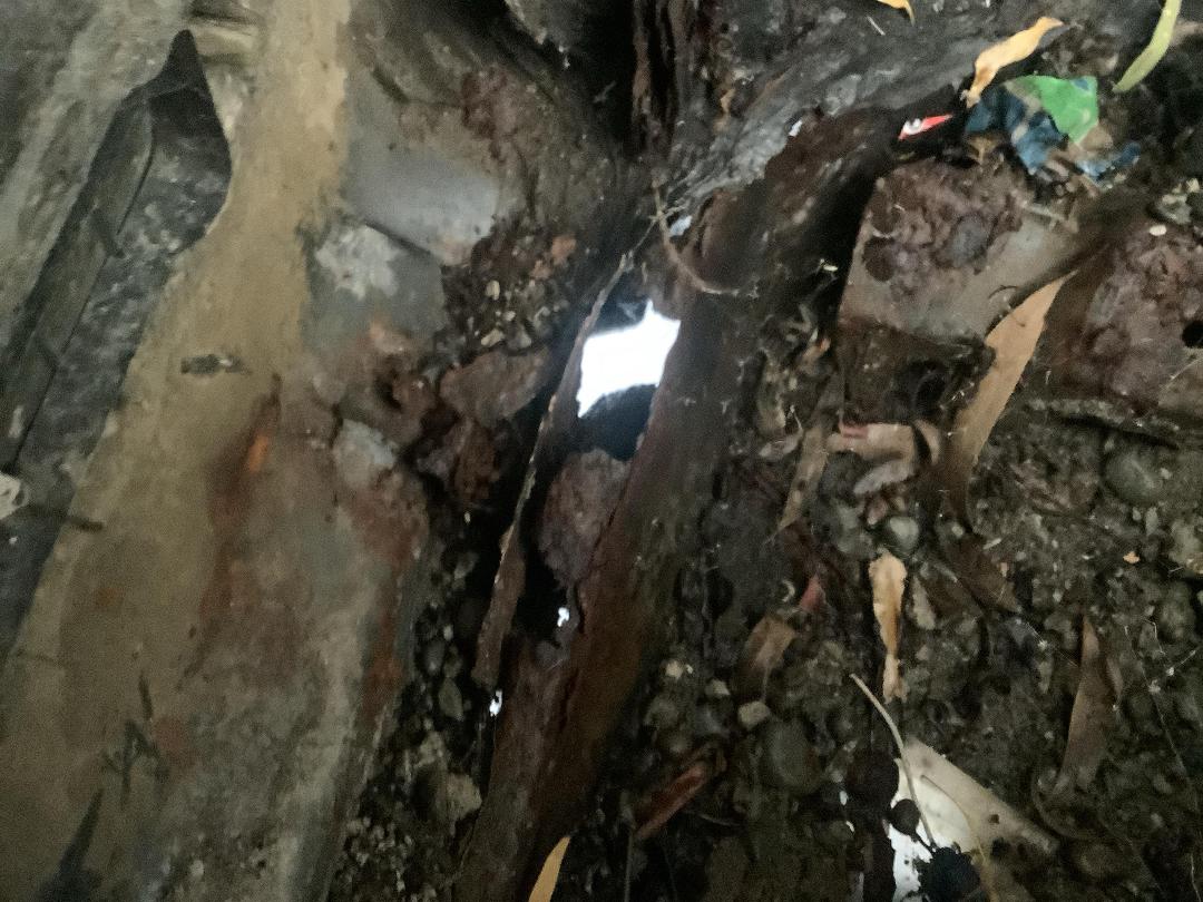 Photo '10' of Nissan Laurel Medalist Photo '10' of Nissan Laurel Medalist