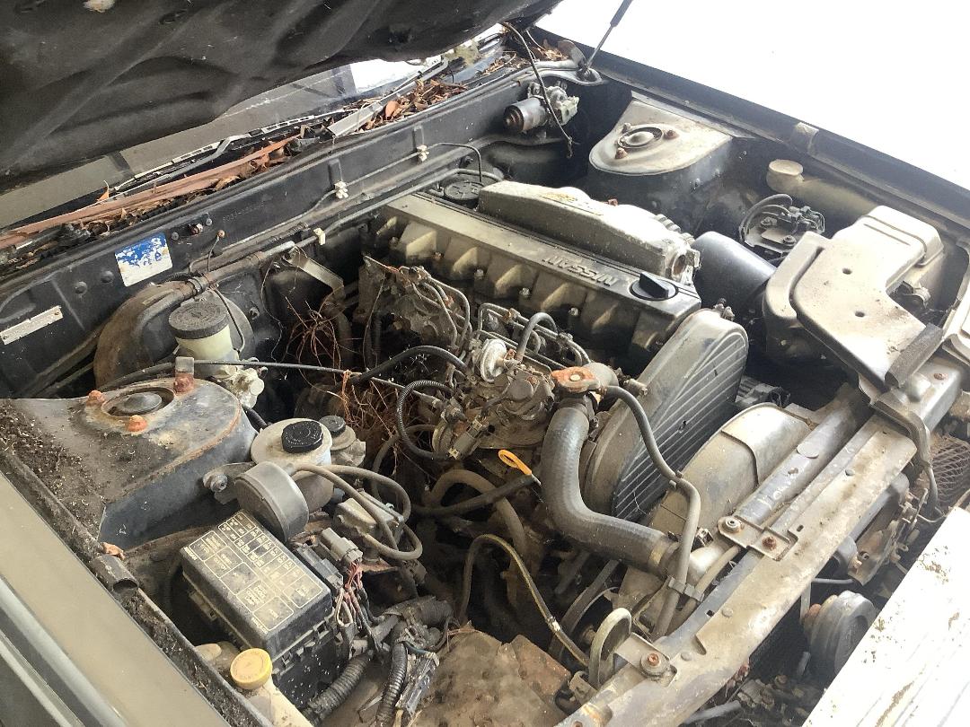 Photo '21' of Nissan Laurel Medalist Photo '21' of Nissan Laurel Medalist