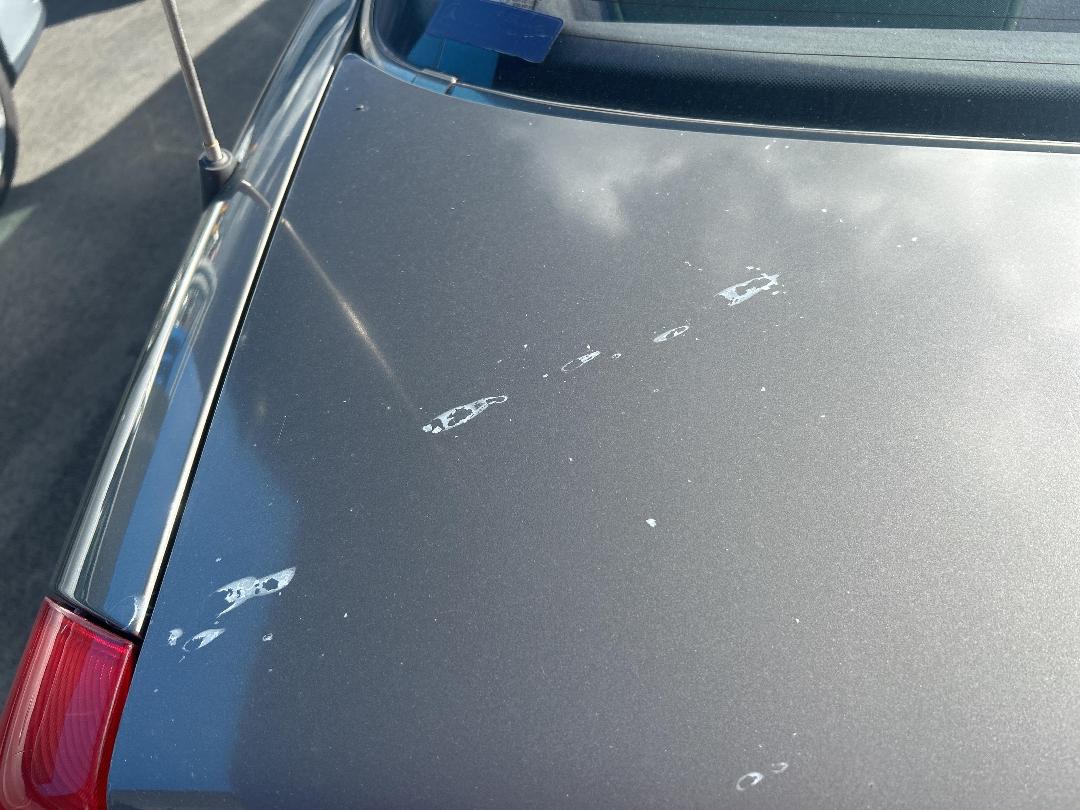 Photo '31' of Mercedes-Benz C280