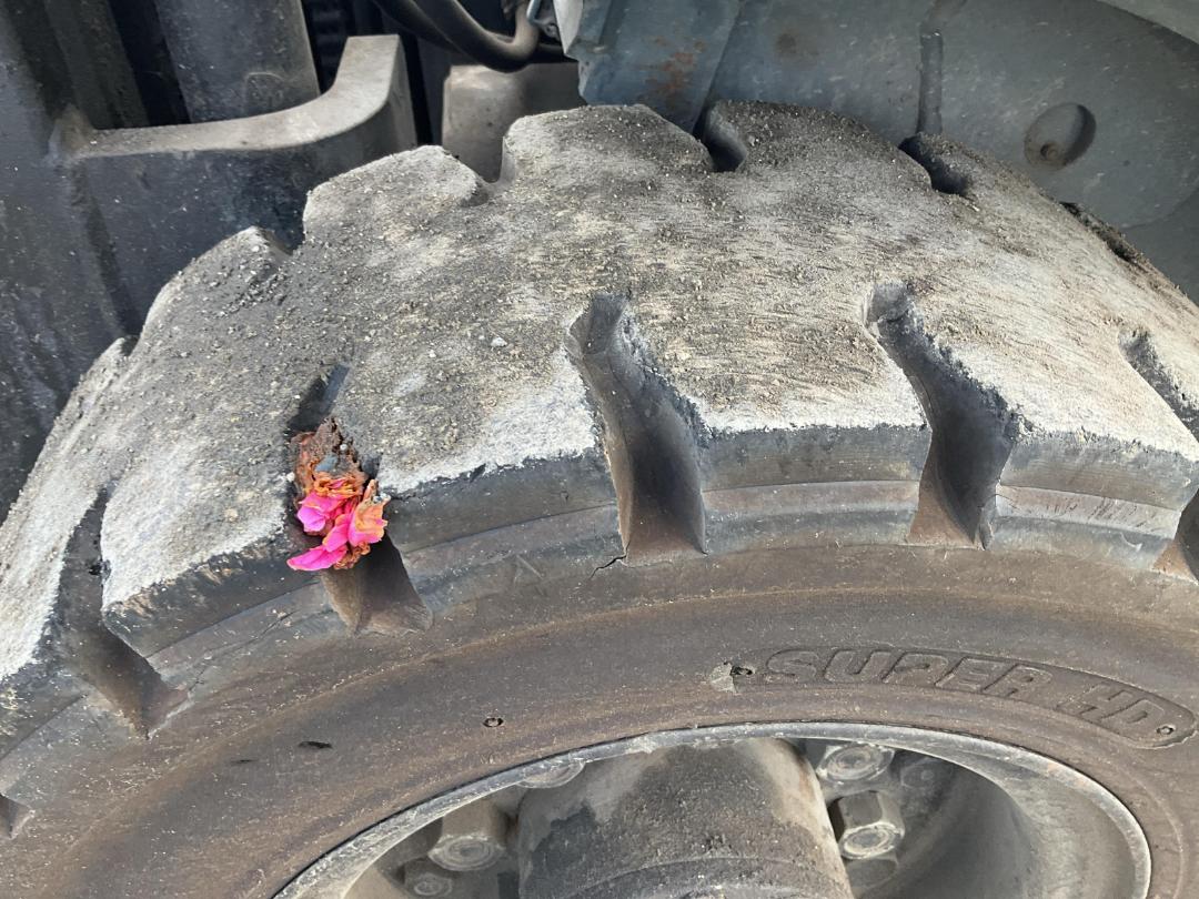 Photo '37' of Toyota 42-6FG25 Forklift Photo '37' of Toyota 42-6FG25 Forklift