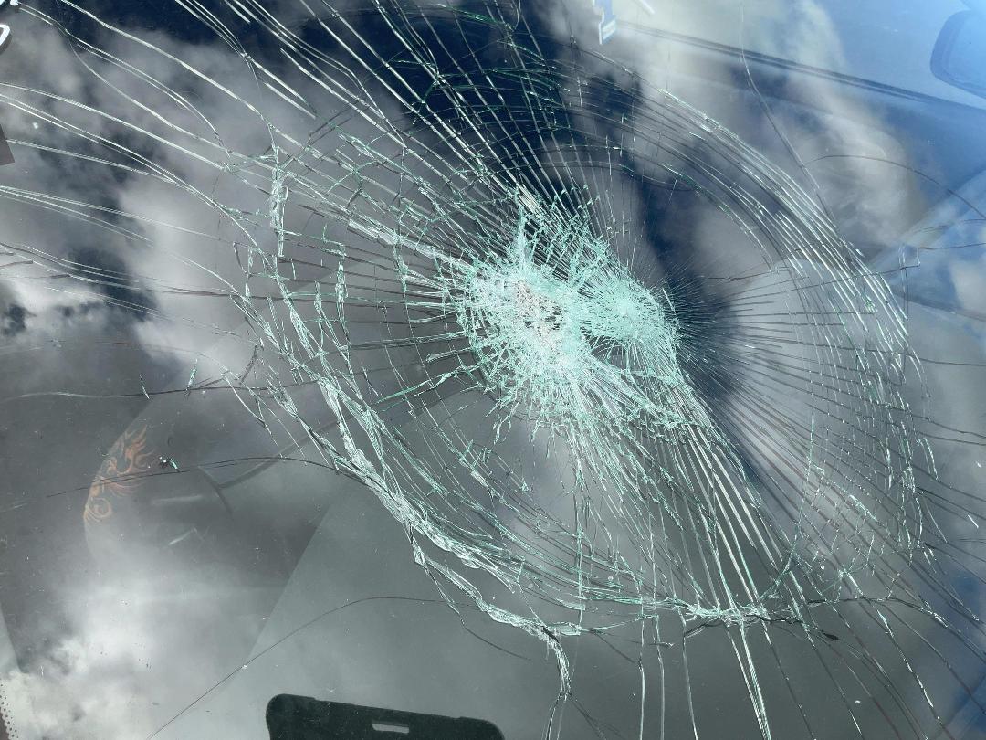 Photo '19' of Nissan Primera Photo '19' of Nissan Primera