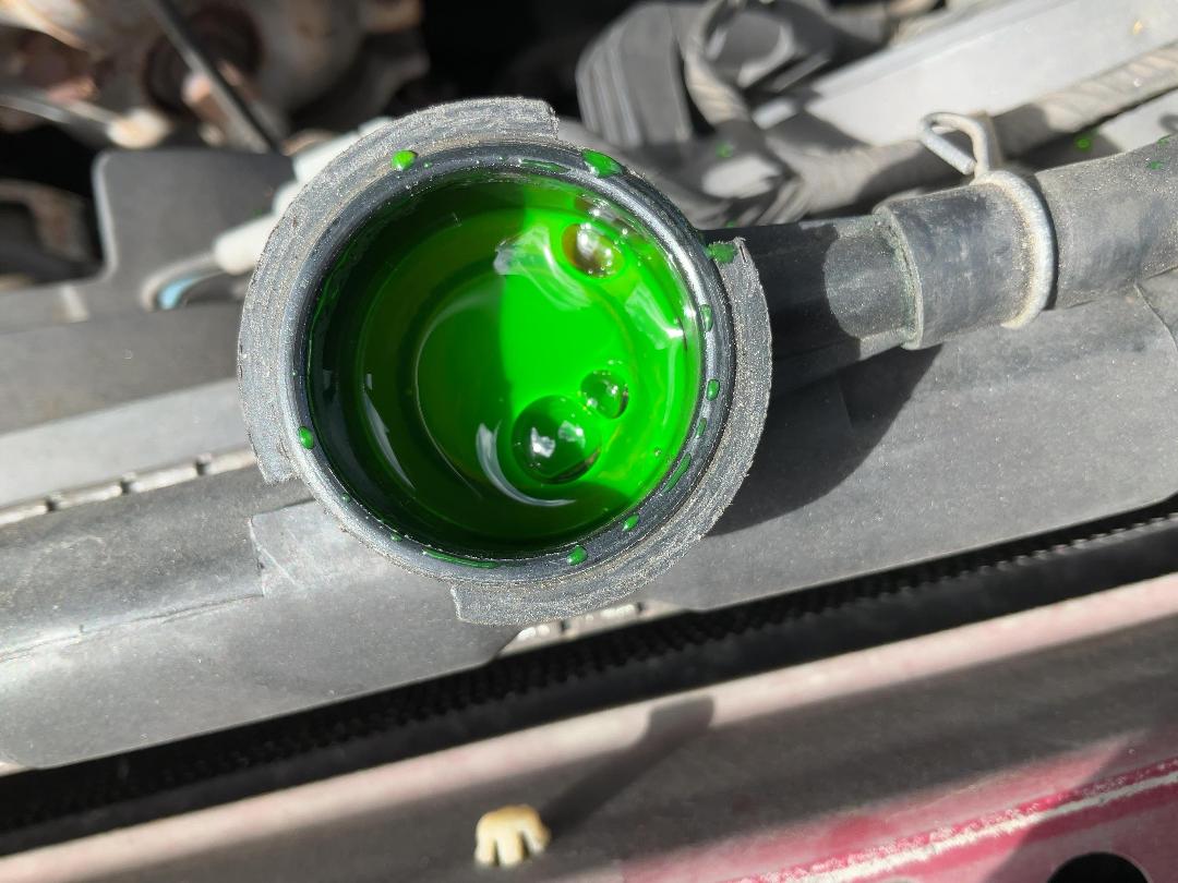 Photo '27' of Nissan Primera Photo '27' of Nissan Primera