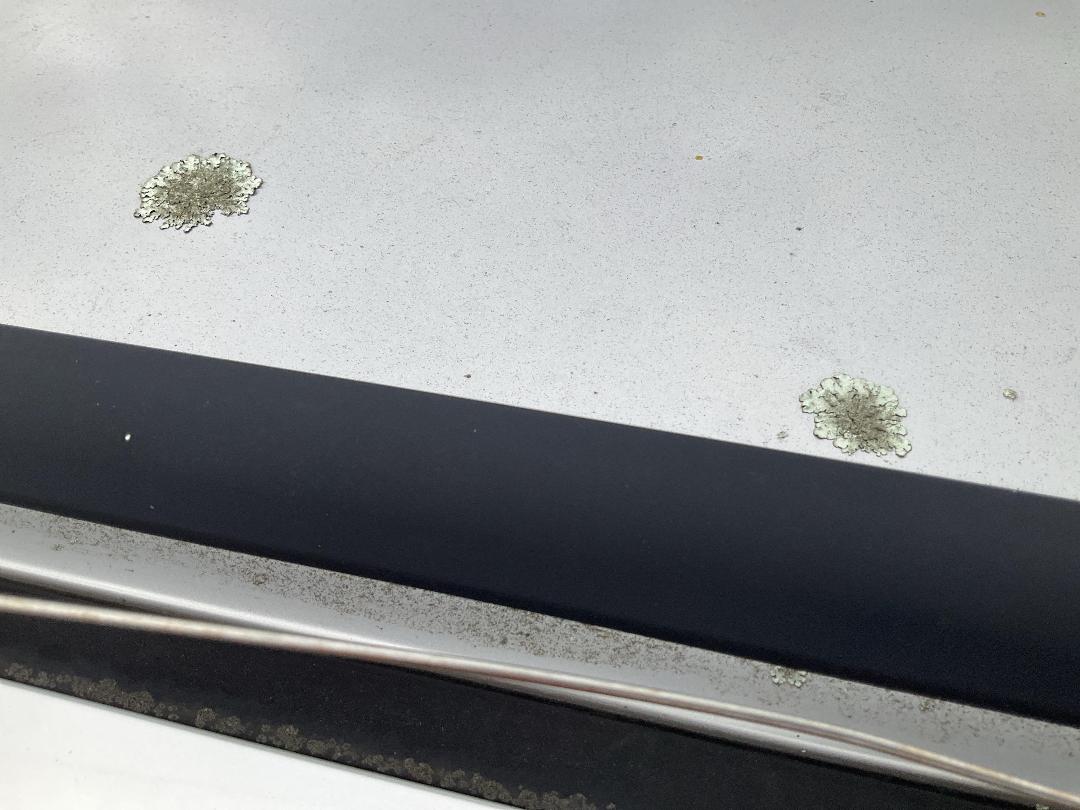 Photo '11' of Honda CRV