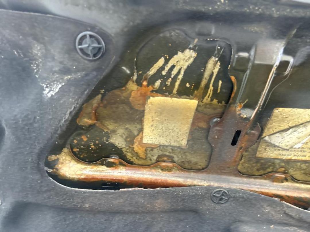 Photo '18' of Nissan Mistral