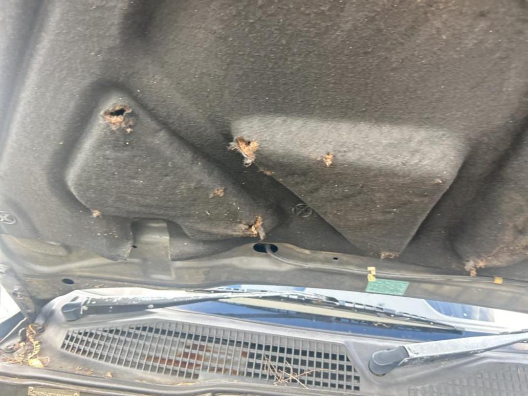 Photo '19' of Nissan Mistral