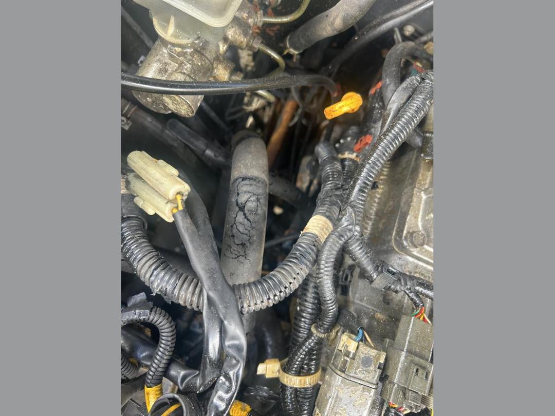 Photo '23' of Nissan Mistral