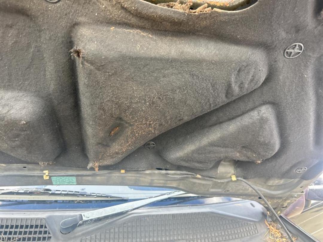 Photo '24' of Nissan Mistral