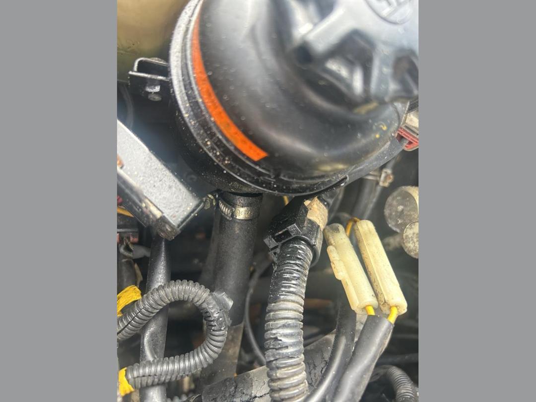 Photo '30' of Nissan Mistral