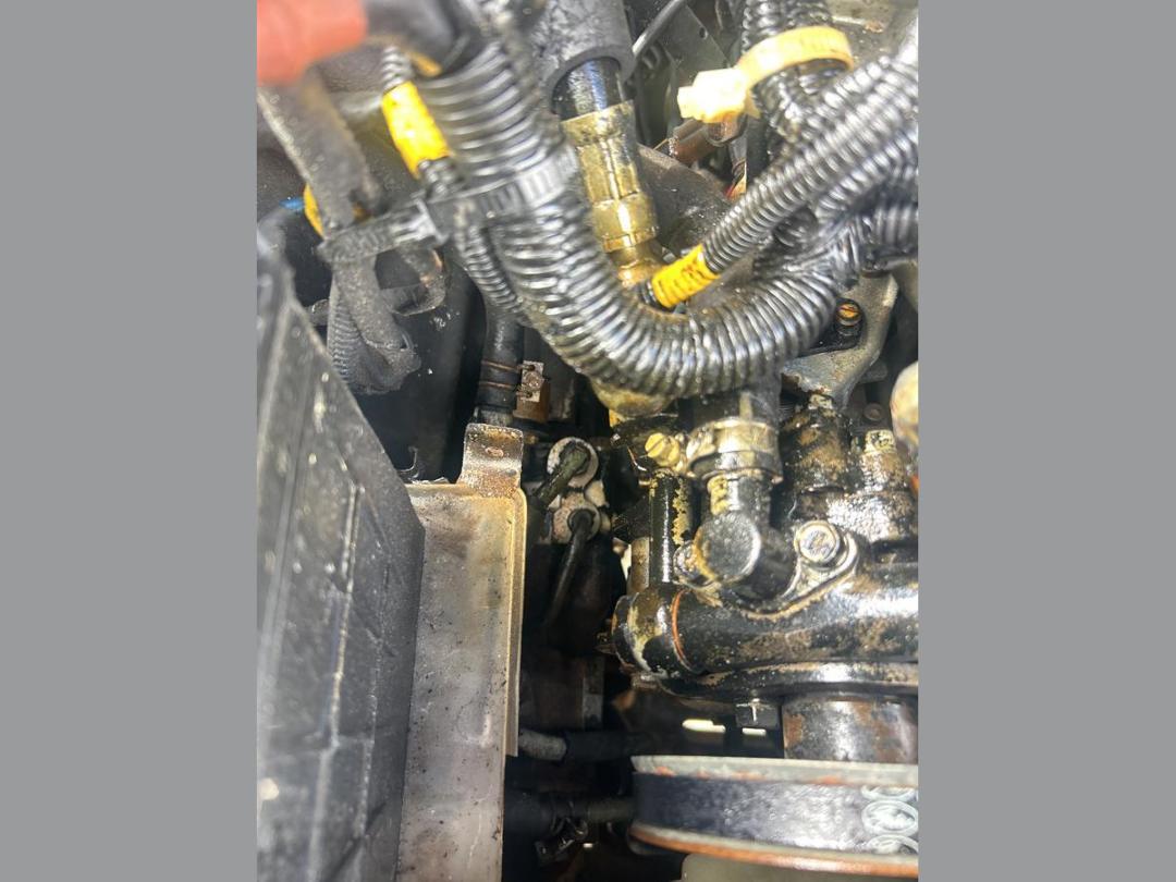 Photo '31' of Nissan Mistral