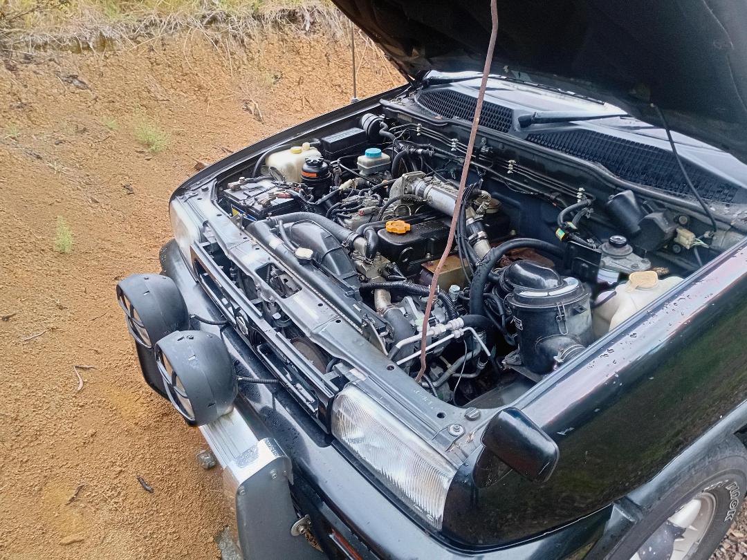 Photo '7' of Nissan Mistral