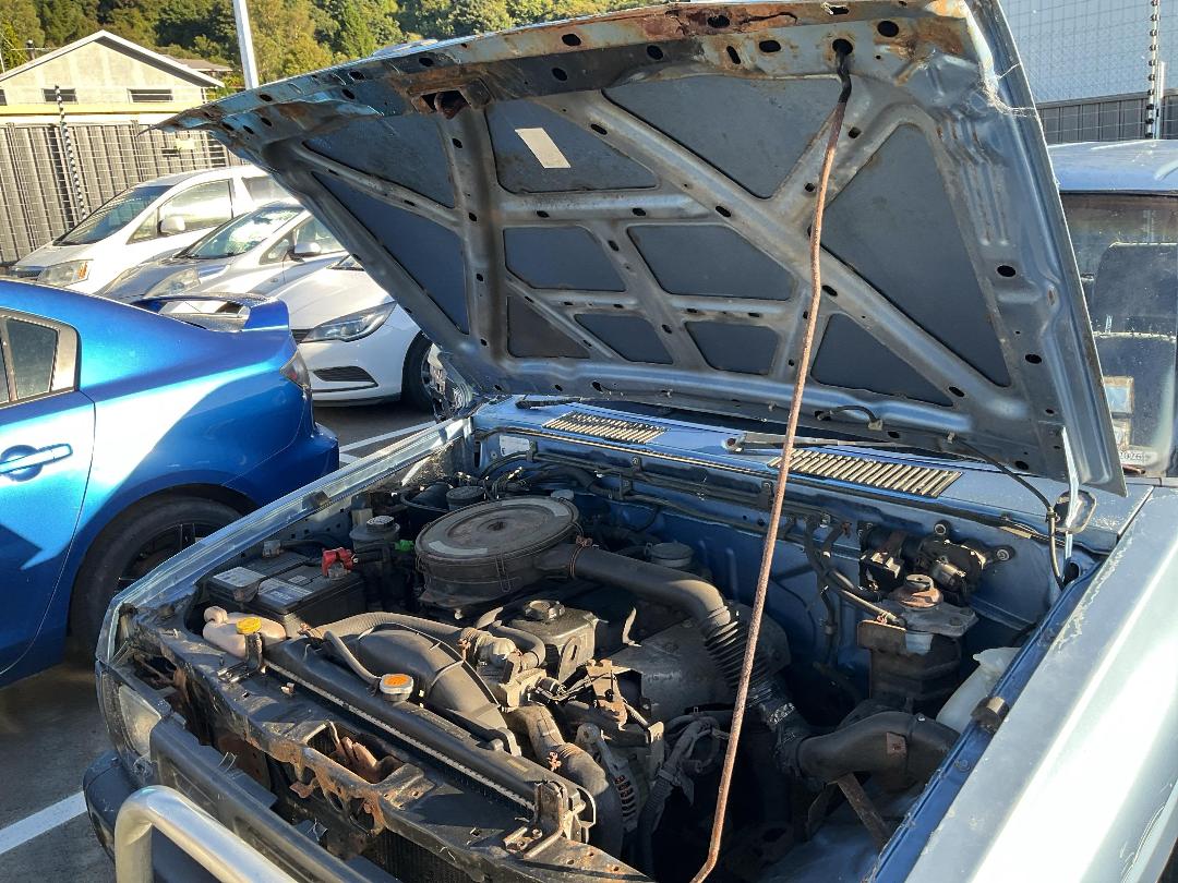 Photo '21' of Nissan Navara D/C W/S