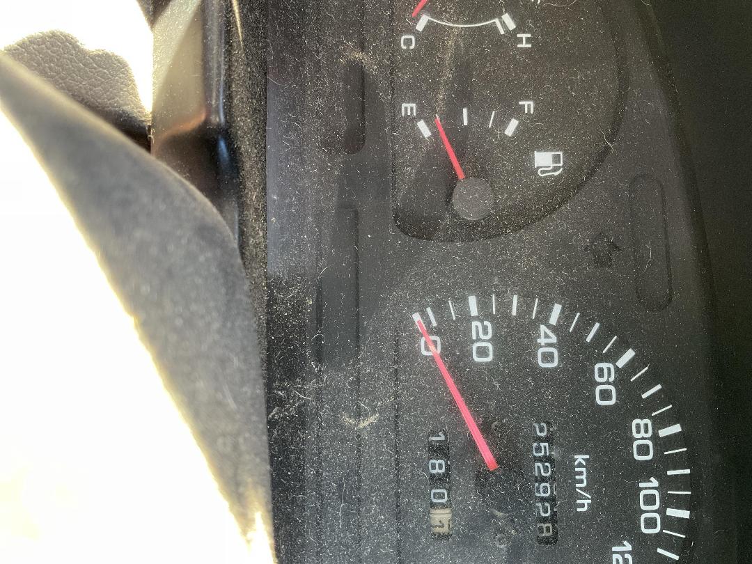 Photo '23' of Nissan Navara D/C W/S