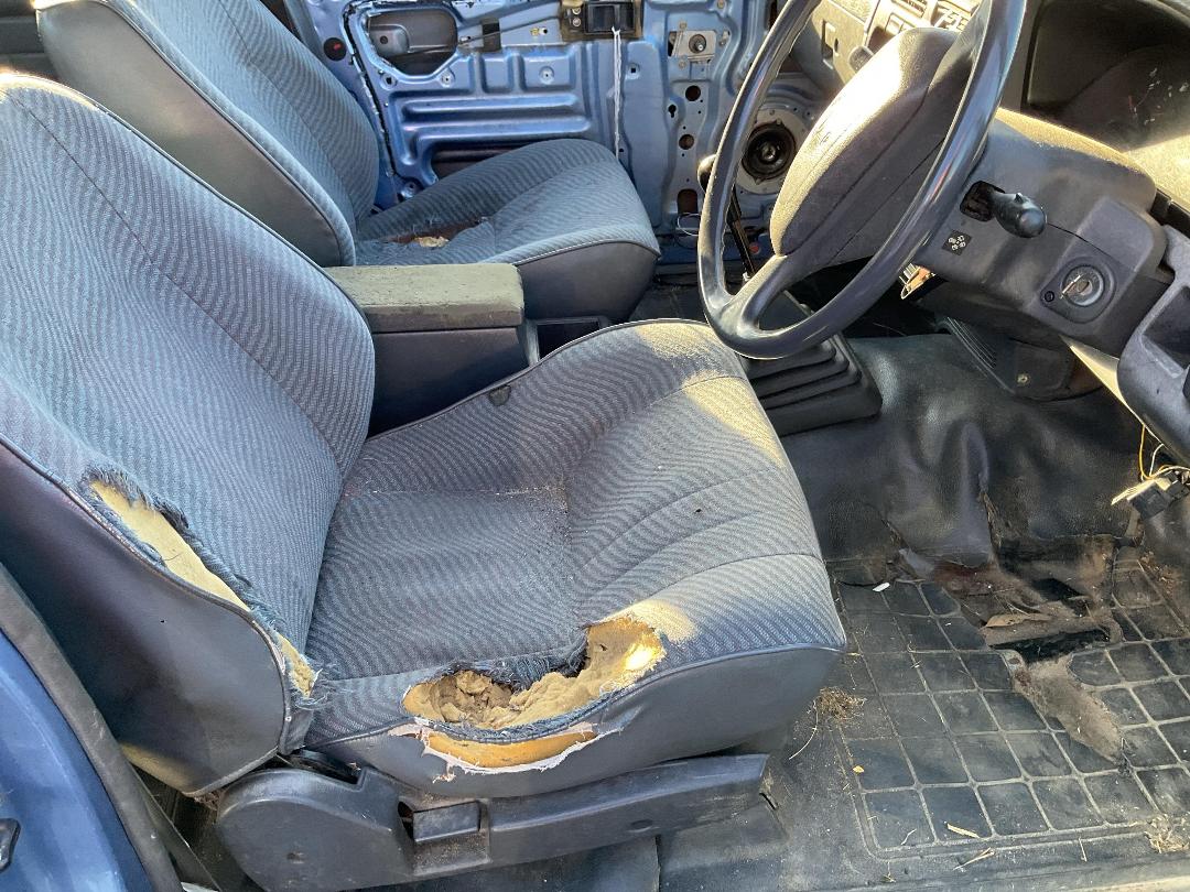 Photo '14' of Nissan Navara D/C W/S