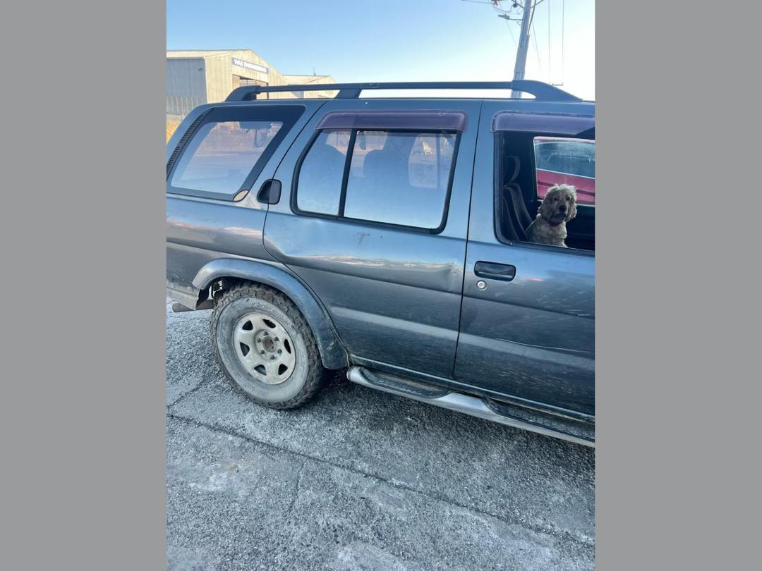 Photo '3' of Nissan Terrano R3M-R