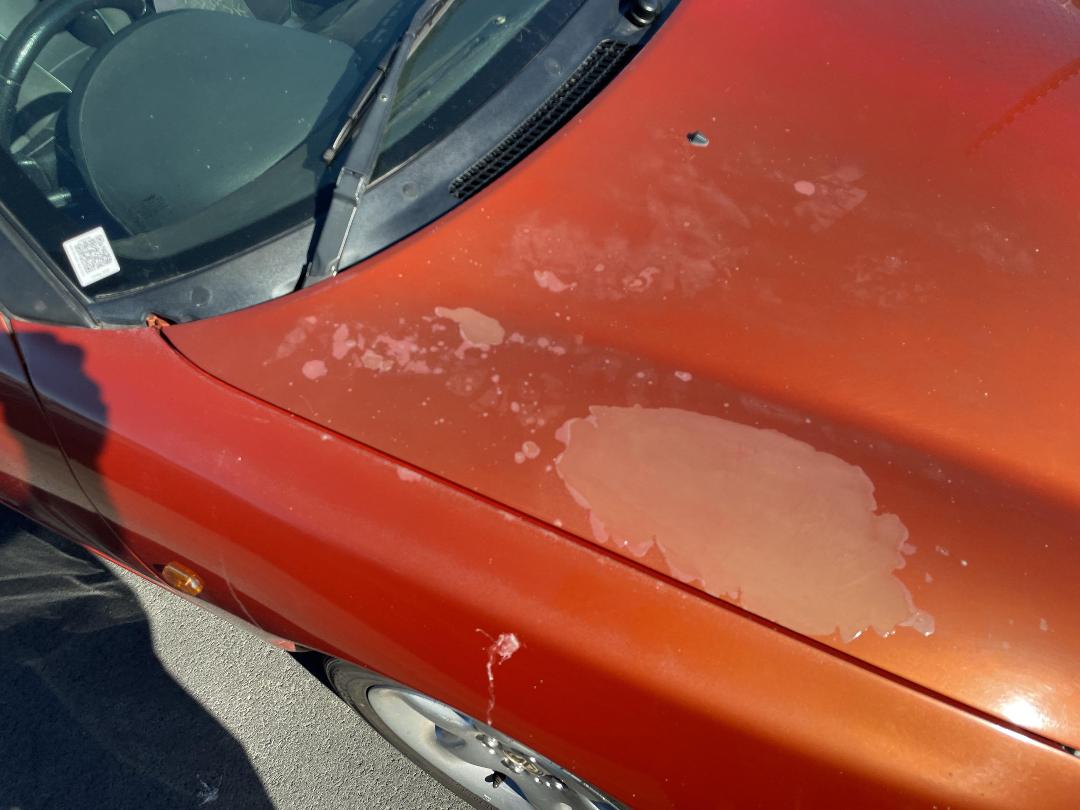 Photo '16' of Rover MGF Photo '16' of Rover MGF