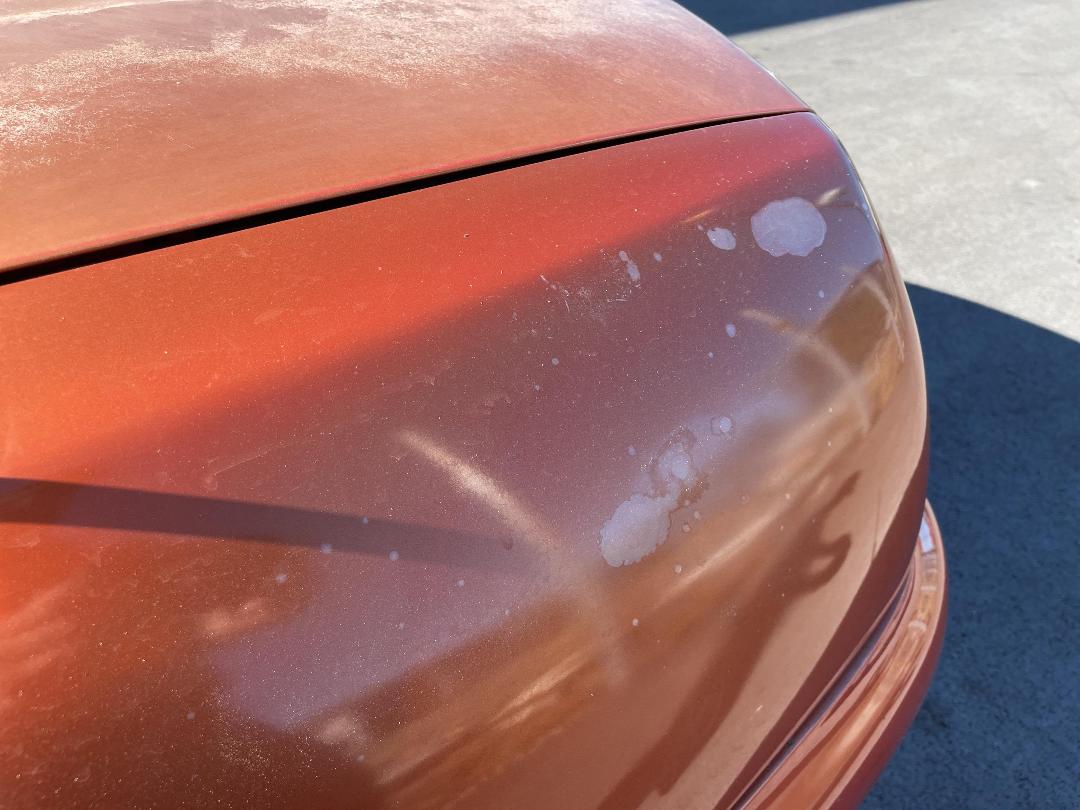 Photo '22' of Rover MGF Photo '22' of Rover MGF