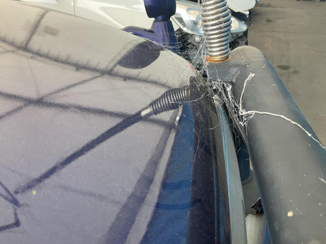 Photo '11' of Toyota Surf