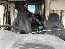 Thumbnail '10' of Ford Transit 190 CHASSIS CAB DIES Motorhome