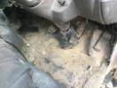 Thumbnail '26' of Mitsubishi Canter Double Cab - Flat Deck Thumbnail '26' of Mitsubishi Canter Double Cab - Flat Deck
