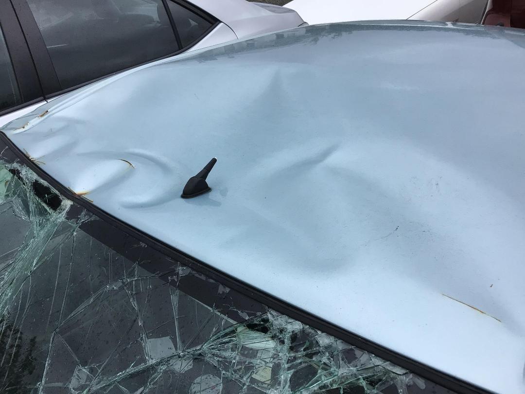 Photo '11' of Toyota Corolla GS