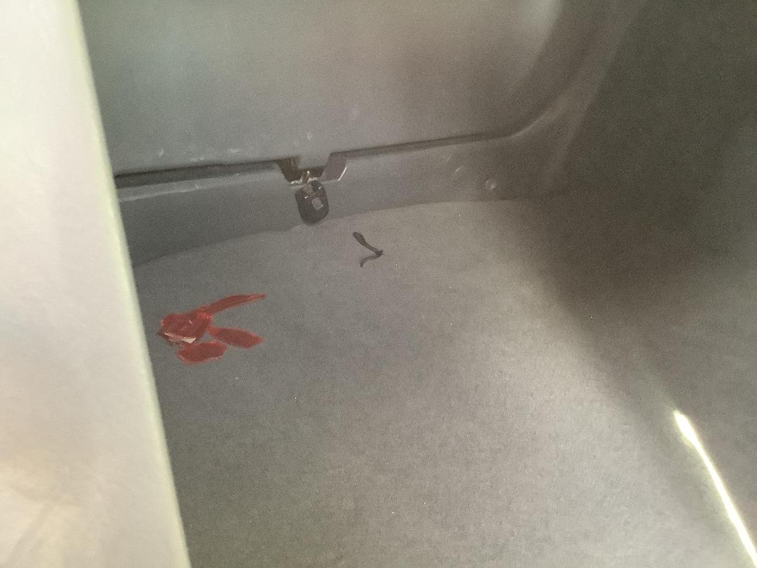 Photo '6' of Ford Laser Glxi