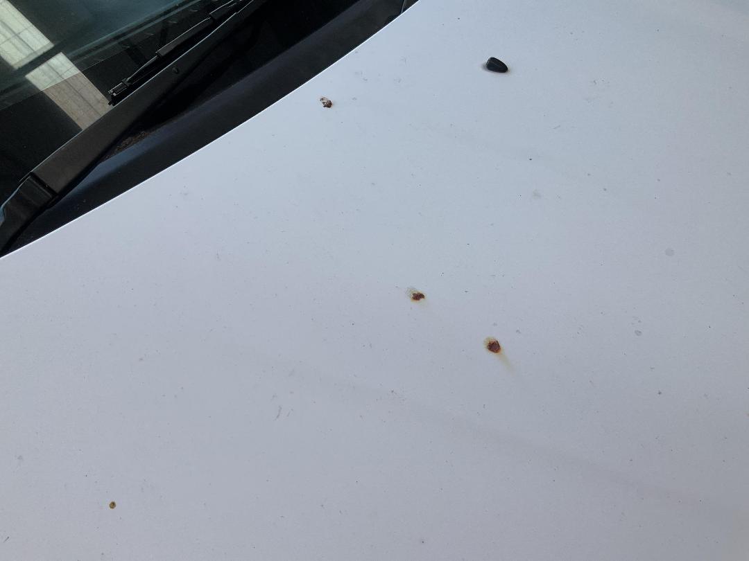 Photo '11' of Mazda Capella Photo '11' of Mazda Capella