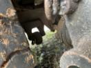 Thumbnail '24' of Nissan Diesel CW380 MIKADO SWB 6X4 Tipper Thumbnail '24' of Nissan Diesel CW380 MIKADO SWB 6X4 Tipper