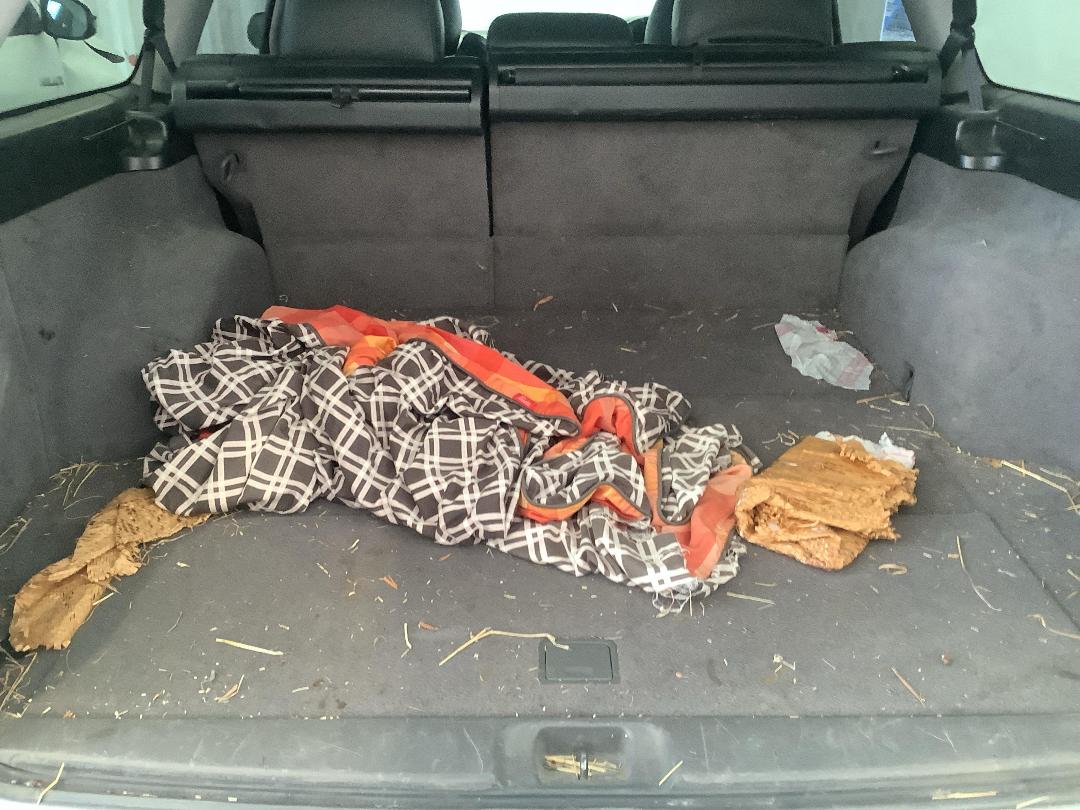 Photo '6' of Subaru Legacy GT-B