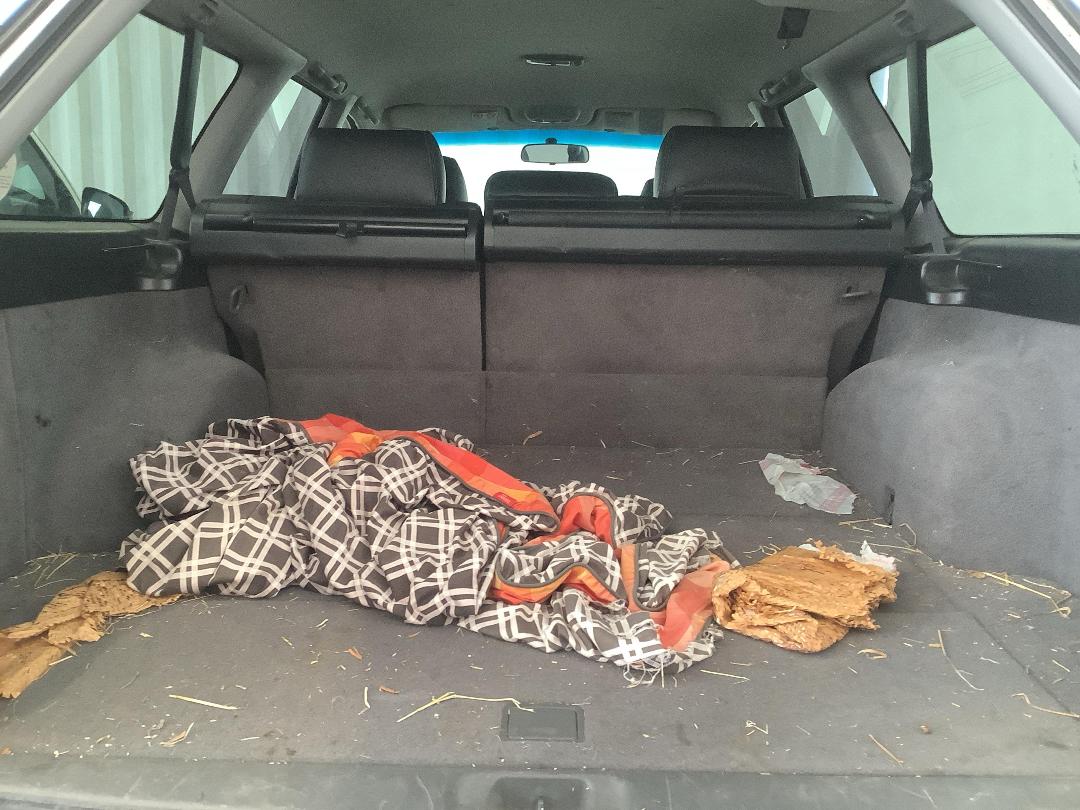 Photo '7' of Subaru Legacy GT-B