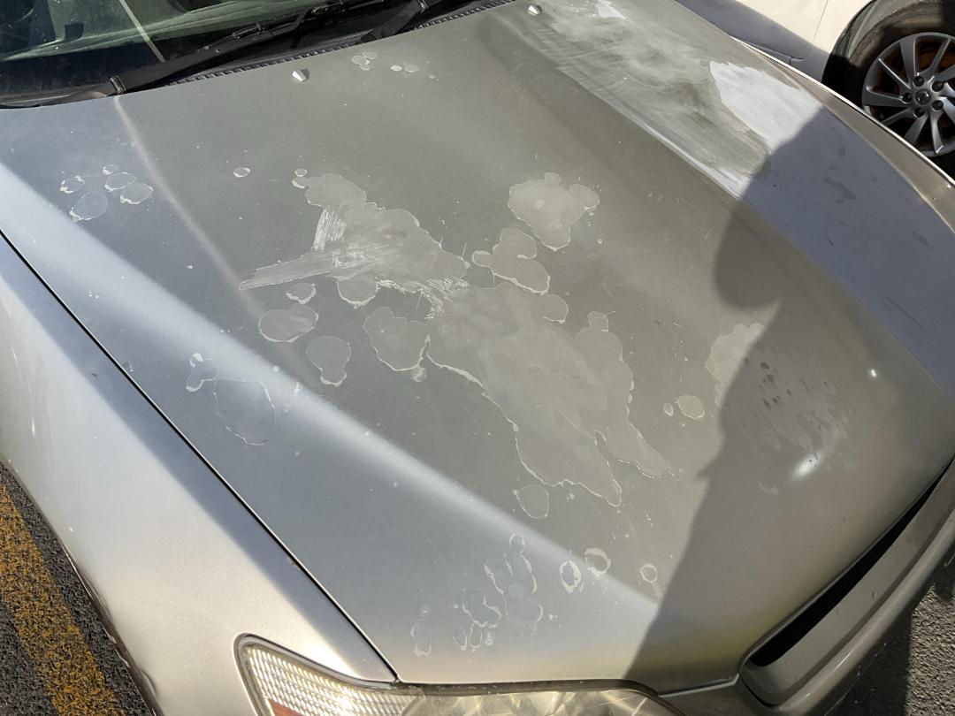 Photo '22' of Toyota Altezza