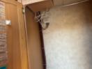 Thumbnail '18' of Elddis Mistral EX2000 Caravan - Single Thumbnail '18' of Elddis Mistral EX2000 Caravan - Single
