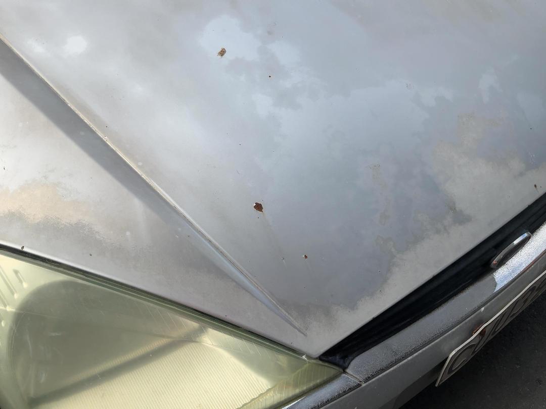 Photo '16' of Ford Focus Ghia