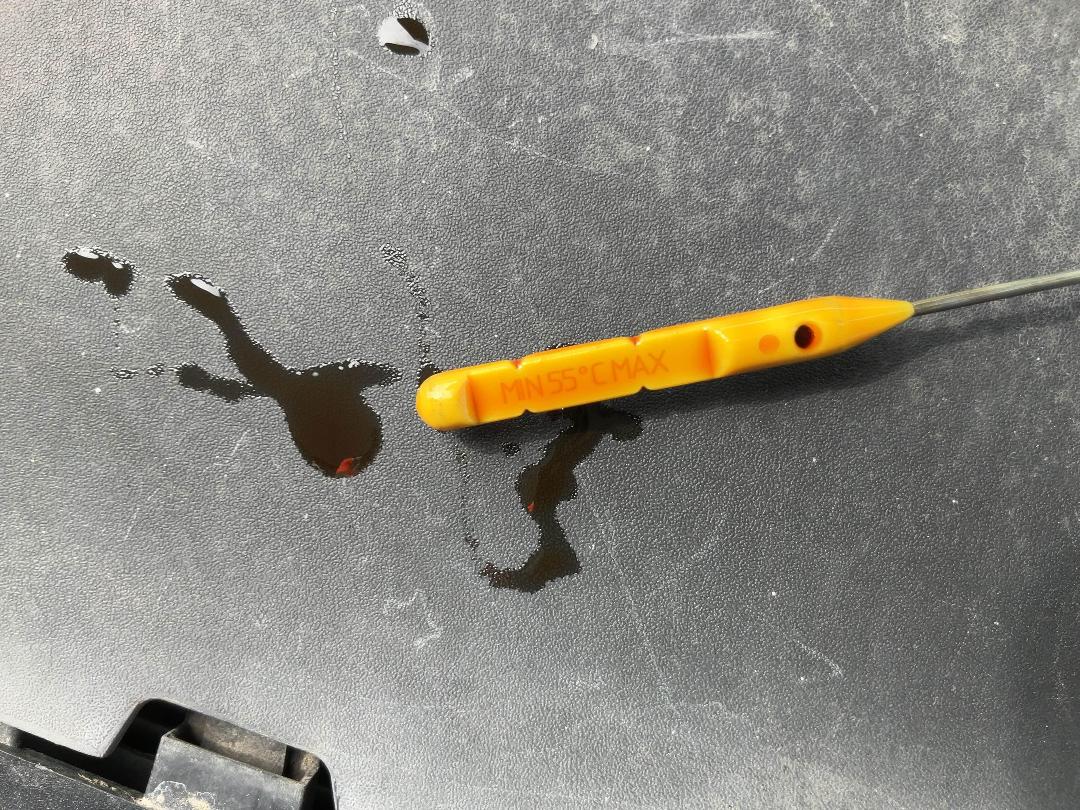 Photo '22' of Ford Focus Ghia