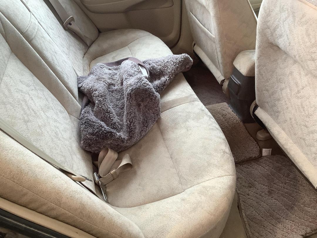 Photo '7' of Nissan Bluebird Sylphy Photo '7' of Nissan Bluebird Sylphy