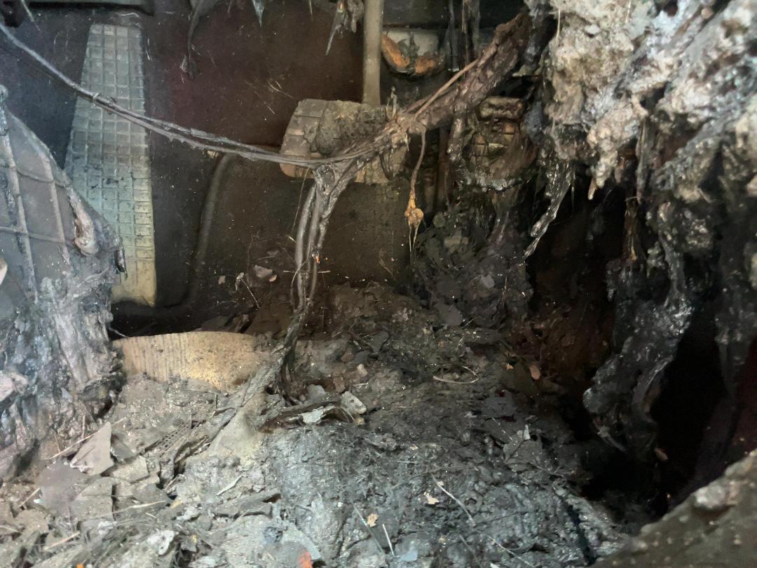 Photo '10' of Porsche 996 Carrera 911