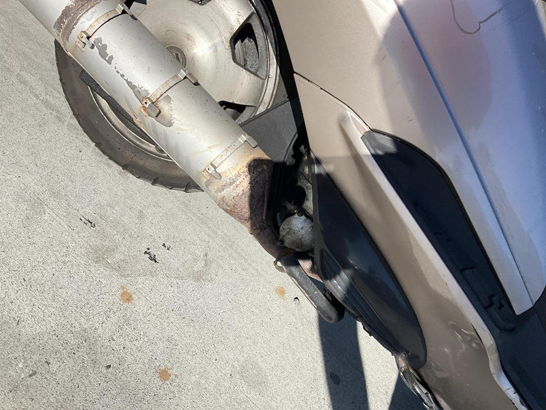 Photo '19' of Suzuki AN250 X