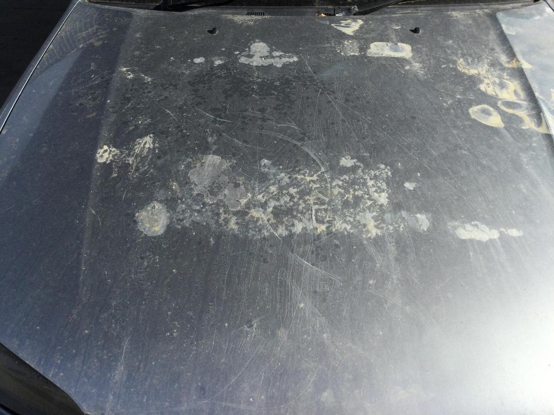 Photo '9' of Toyota Camry GL Photo '9' of Toyota Camry GL